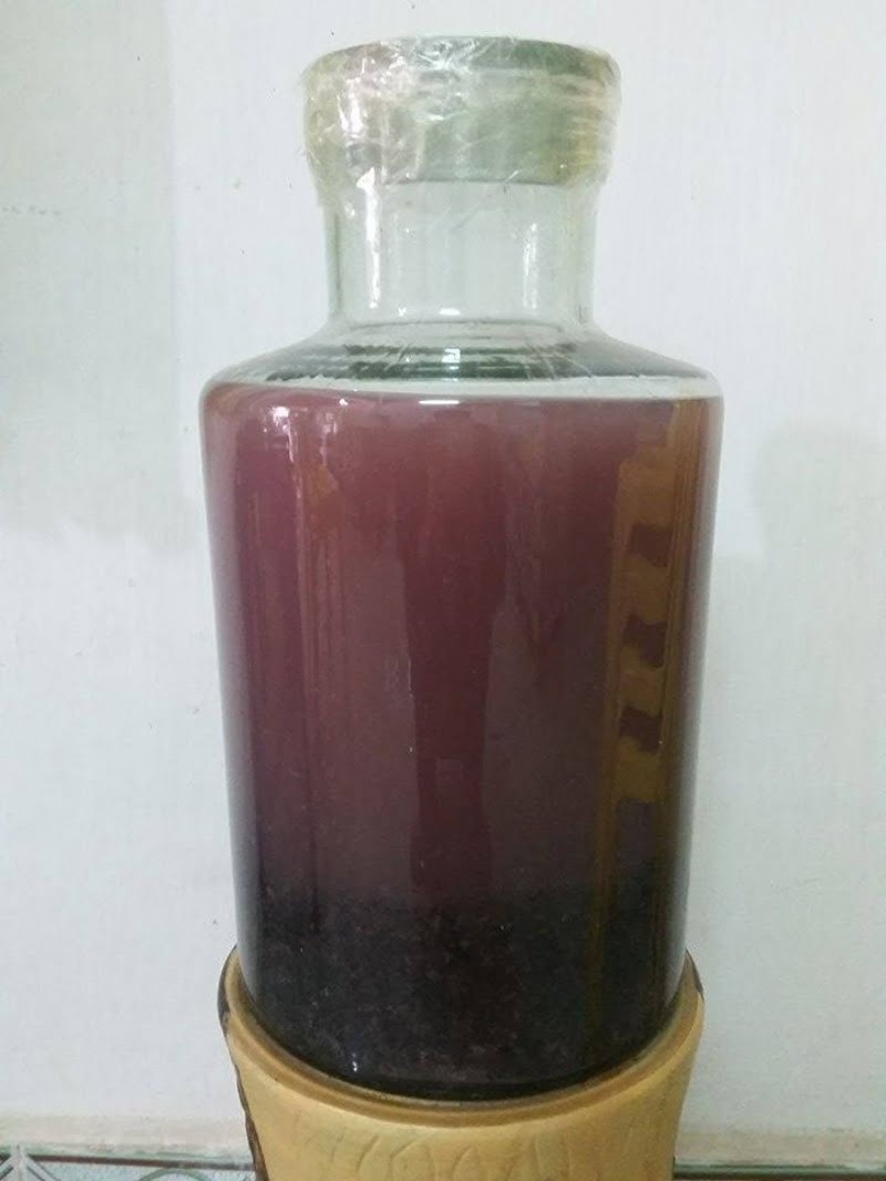 nep-cam-qua-tang-tuyet-voi-tu-thien-nhien