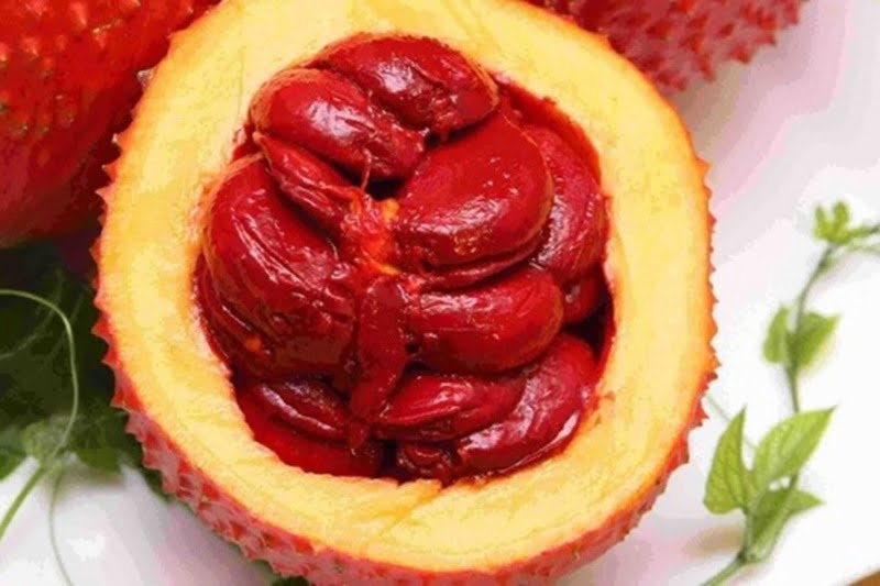 nhan-dat-banh-chung-gac-dip-tet-o-hcm1