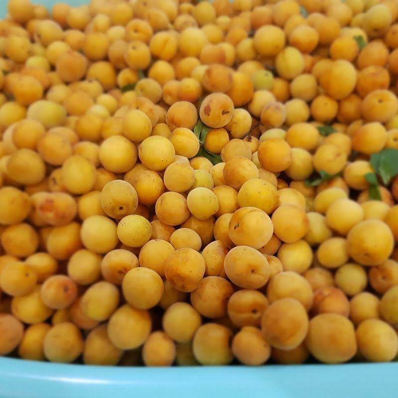 "Những