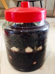 ruou-nep-cam-de-nhat-tuu-manh-gan-cot-tang-ham-muon-o-nam-gioi1