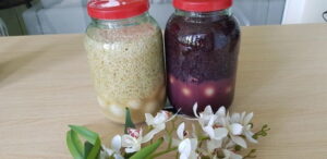 ruou-nep-trung-ga-cuu-tinh-chuyen-phong-the-cho-nam-gioi1