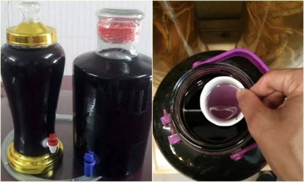 Ba kích là cây thuốc nam trị yếu sinh lý hiệu quả