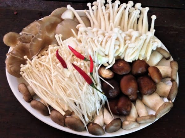 Chuẩn bị đầy đủ nguyên liệu nấm để nấu lẩu gà