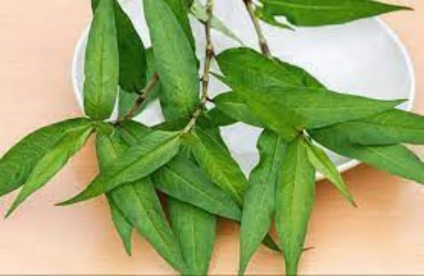 Lẩu gà khi kết hợp với thịt gà thì chúng lại tạo nên chất có hại cho hệ tiêu hóa