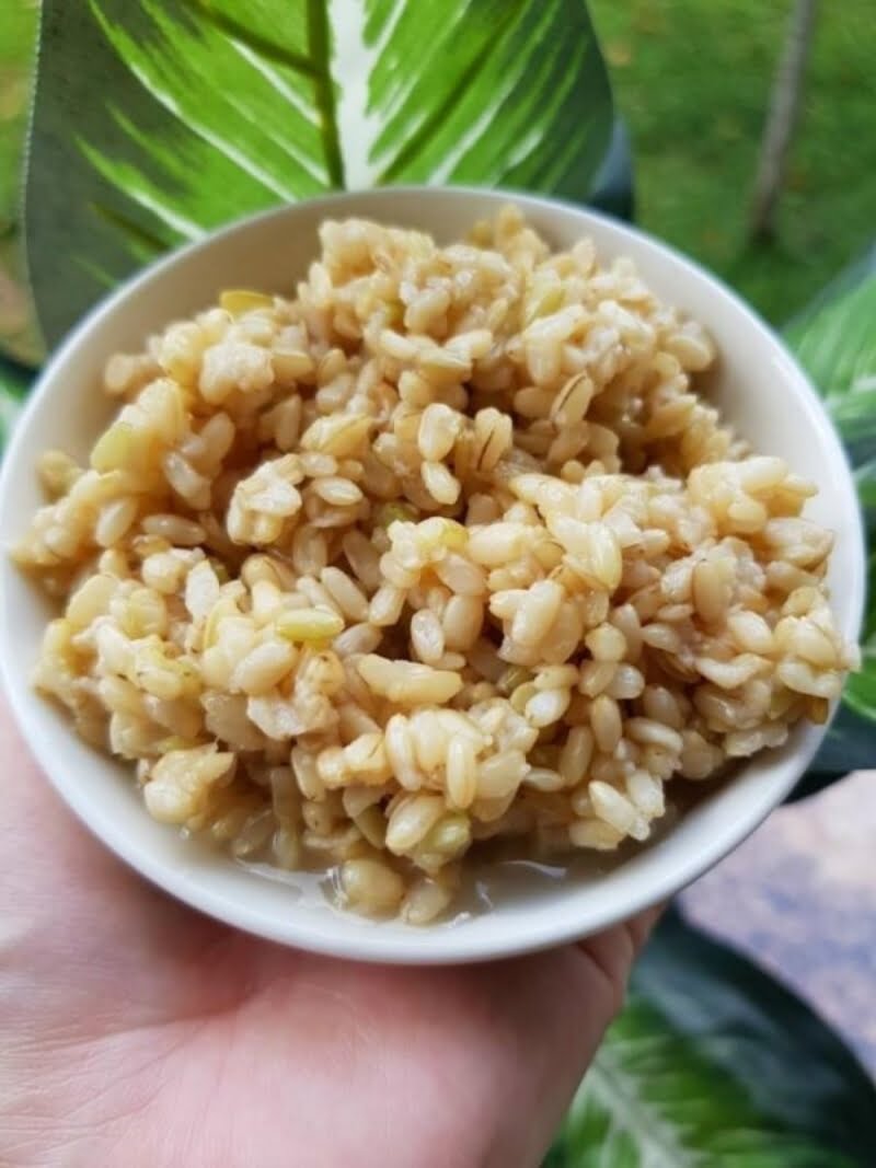Nếu bạn thích cơm rượu chuẩn Bắc hãy ghé qua Nếp Cẩm Mộc