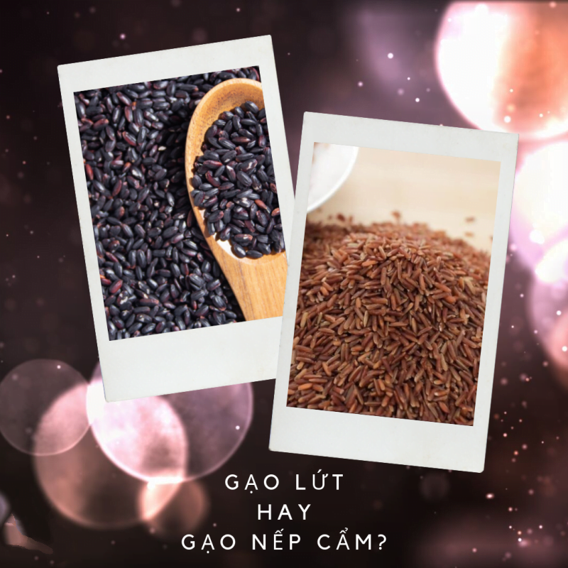 Gao nếp cẩm và gạo lứt có giống nhau không?