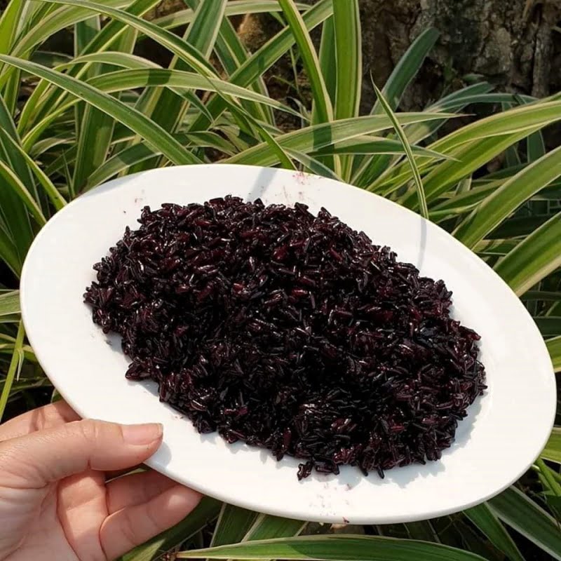 Cơm nếp cẩm là món ngon được nhiều người ưa thích