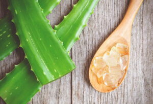 Nha đam được sử dụng để chăm sóc da với công dụng dưỡng ẩm, ngăn ngừa các dấu hiệu lão hóa