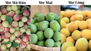 rượu mơ Đà Lạt