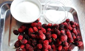 rượu dâu tằm